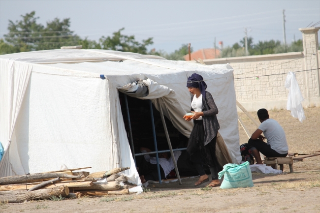 Mevsimlik işçilerin Konya'da zorlu mesaisi başladı